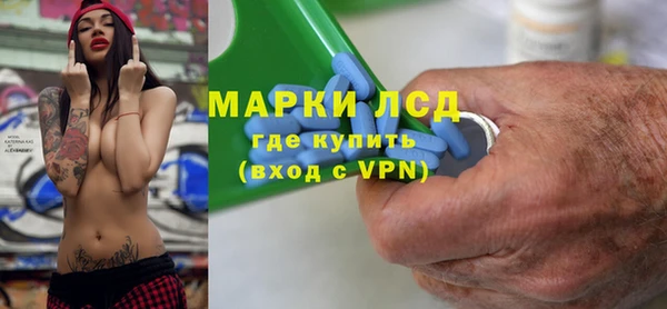 стаф Гусев