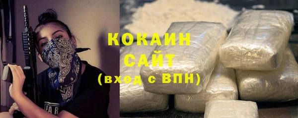 стаф Гусев