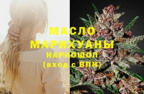 стаф Гусев