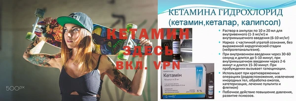стаф Гусев